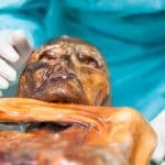 На теле «ледяного человека» могут присутствовать жизнеспособные организмы