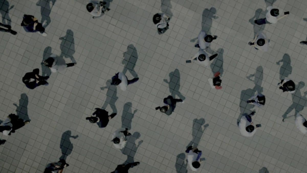 Математики доказали универсальный закон вымирания популяций: численность не спасает