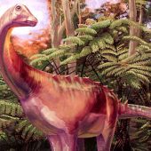 Eutitanosauria indet.