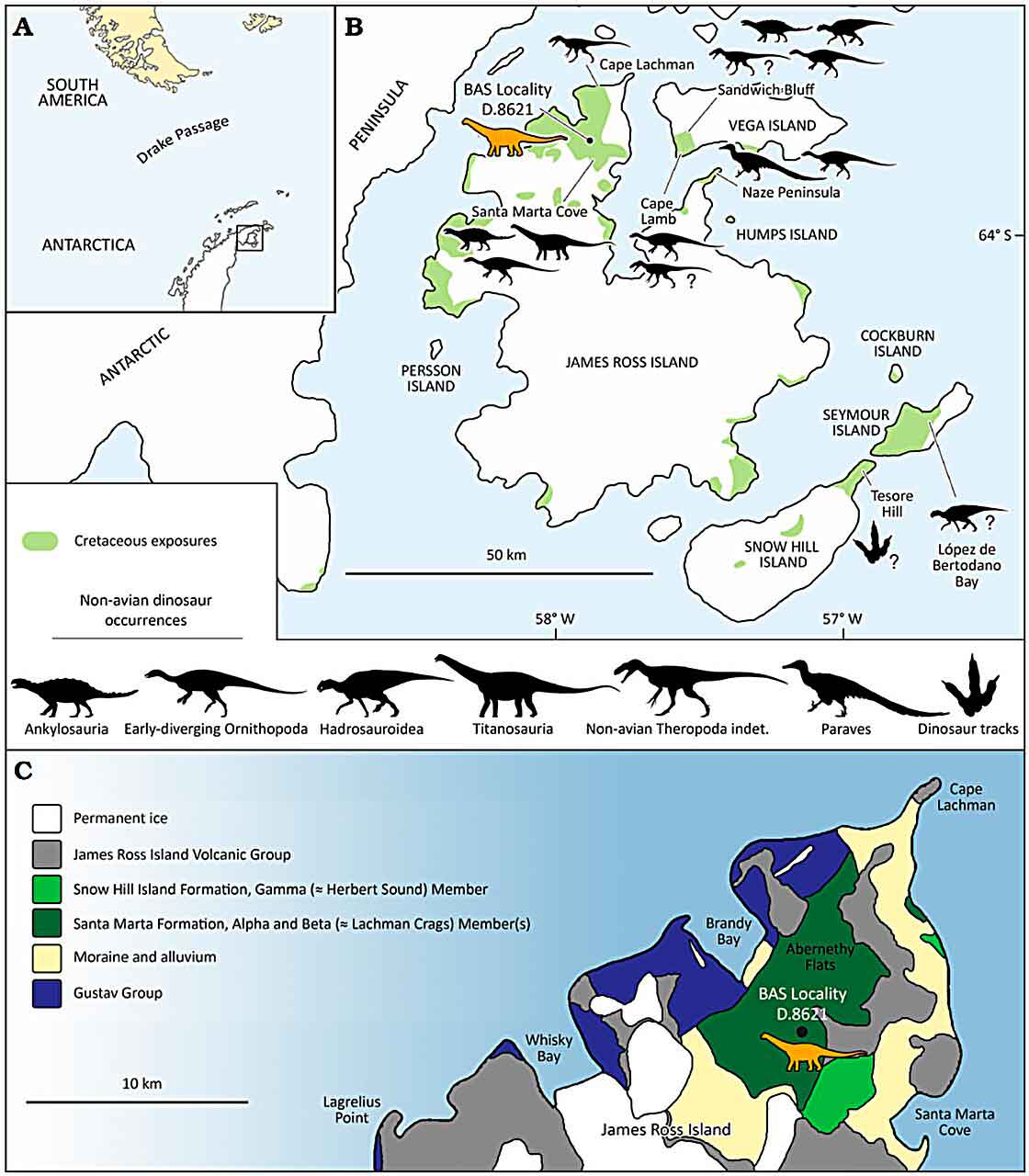 Eutitanosauria indet
