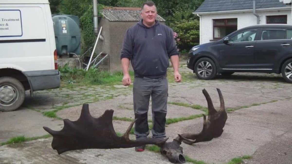 Рыбаки нашли на дне озера Лох-Ней череп гигантского оленя ледниковой эпохи
