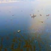 Разливы нефти в открытом море остаются одной из самых сложных экологических катастроф — но учёные продолжают разрабатывать новые способы борьбы с ними