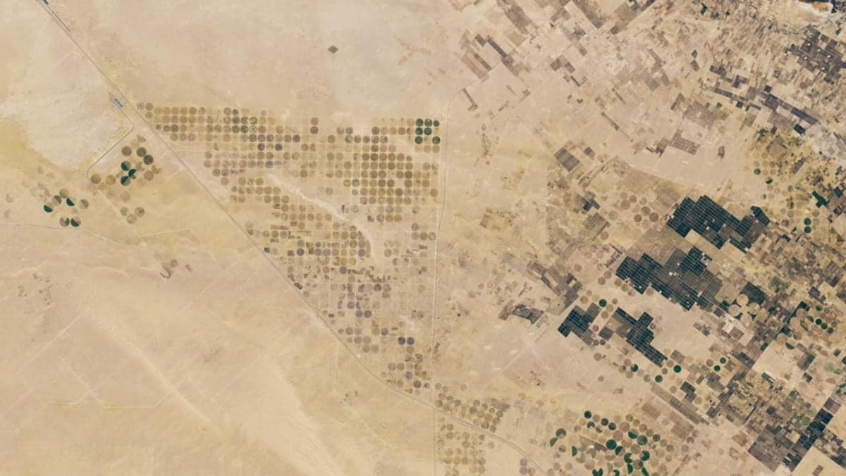 Системы кругового орошения в Египте / © NASA