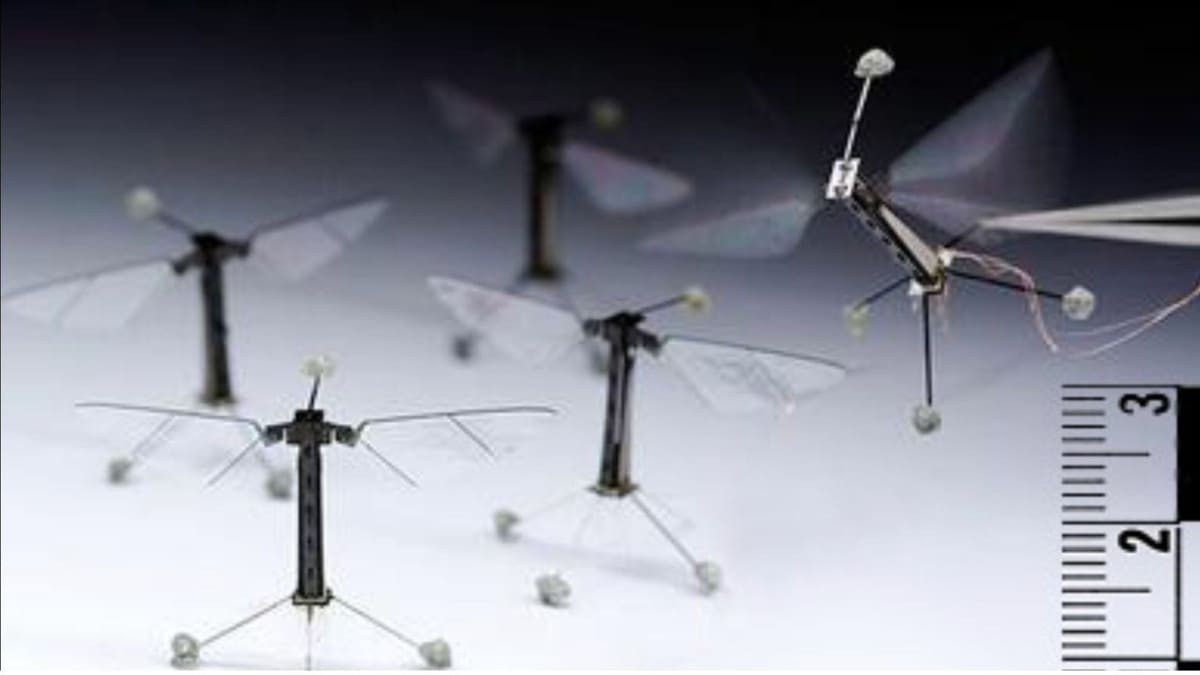 RoboBee / © Wikimedia Commons