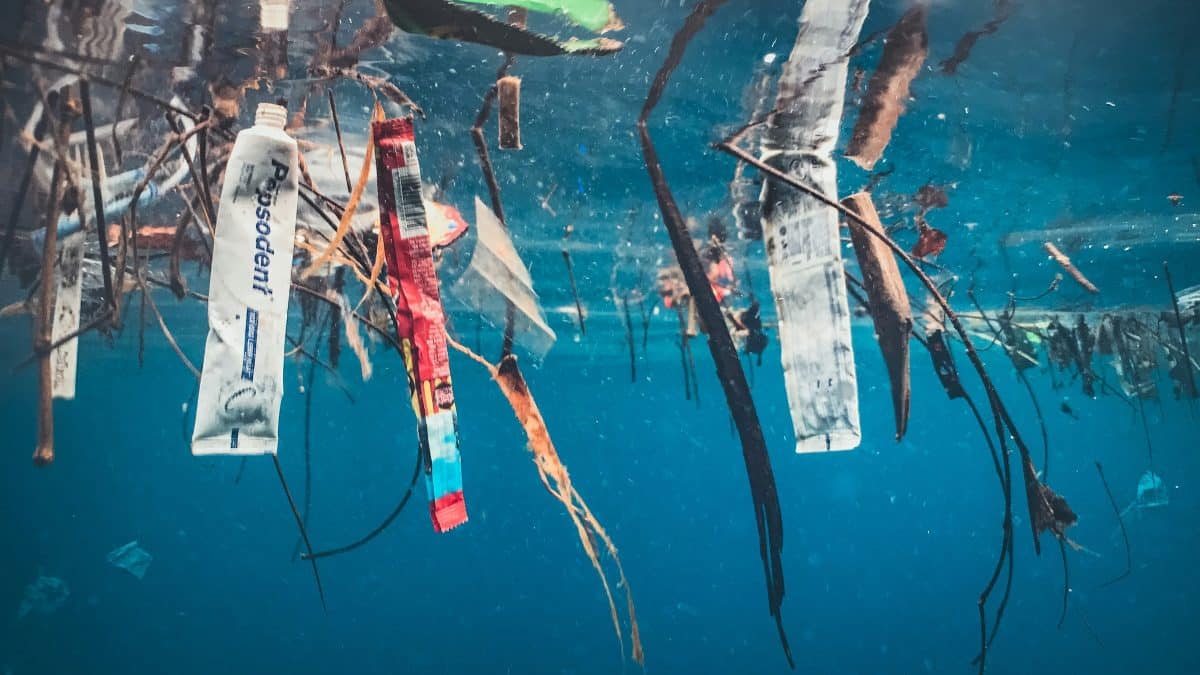 لقد وجد العلماء طريقة لتدمير “المواد الكيميائية الأبدية” PFAS – باستخدام الضوء فوق البنفسجي وبدون كواشف لقد وجد العلماء طريقة لتدمير “المواد الكيميائية الأبدية” PFAS – باستخدام الضوء فوق البنفسجي وبدون كواشف