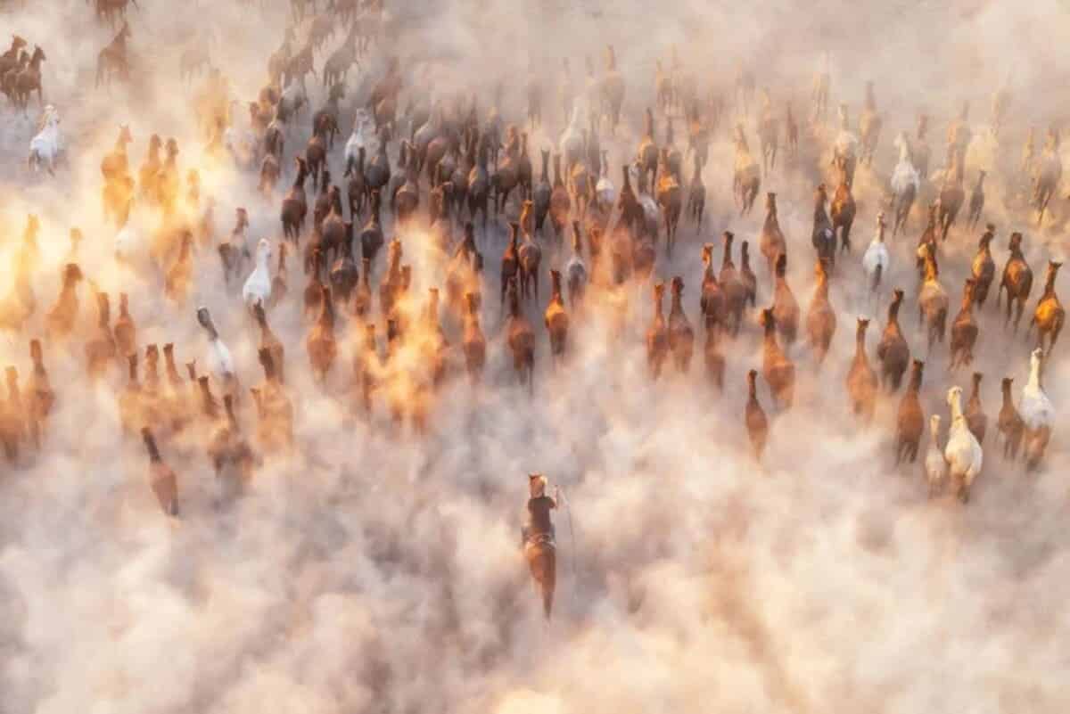 Снимок финалиста конкурса / © Kah-Wai Lin