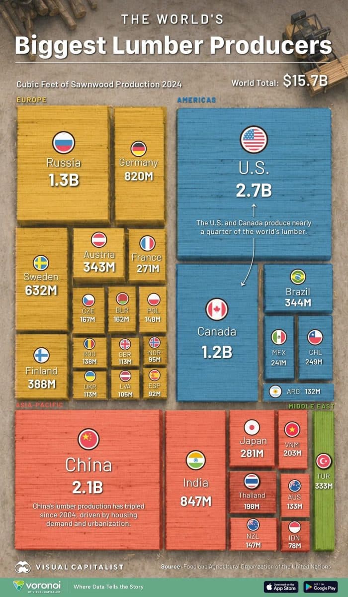 Рейтинг крупнейших производителей пиломатериалов в мире / © Visual Capitalist