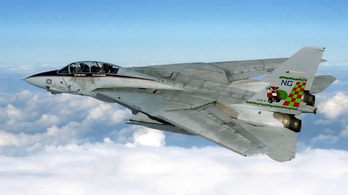 F-14 Tomcat / © Wikimedia Commons