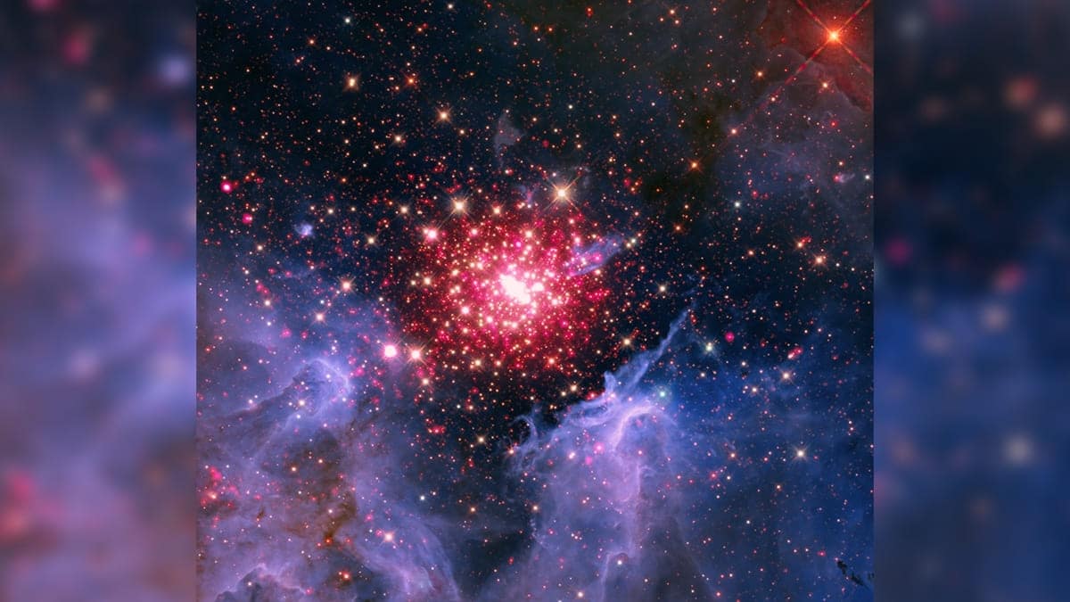 Туманность NGC 3603 / © NASA / CXC / SAO; Optical and Dark Matter: NASA / ESA / M.J. Jee; Image Processing: NASA / CXC / SAO / L. Frattare