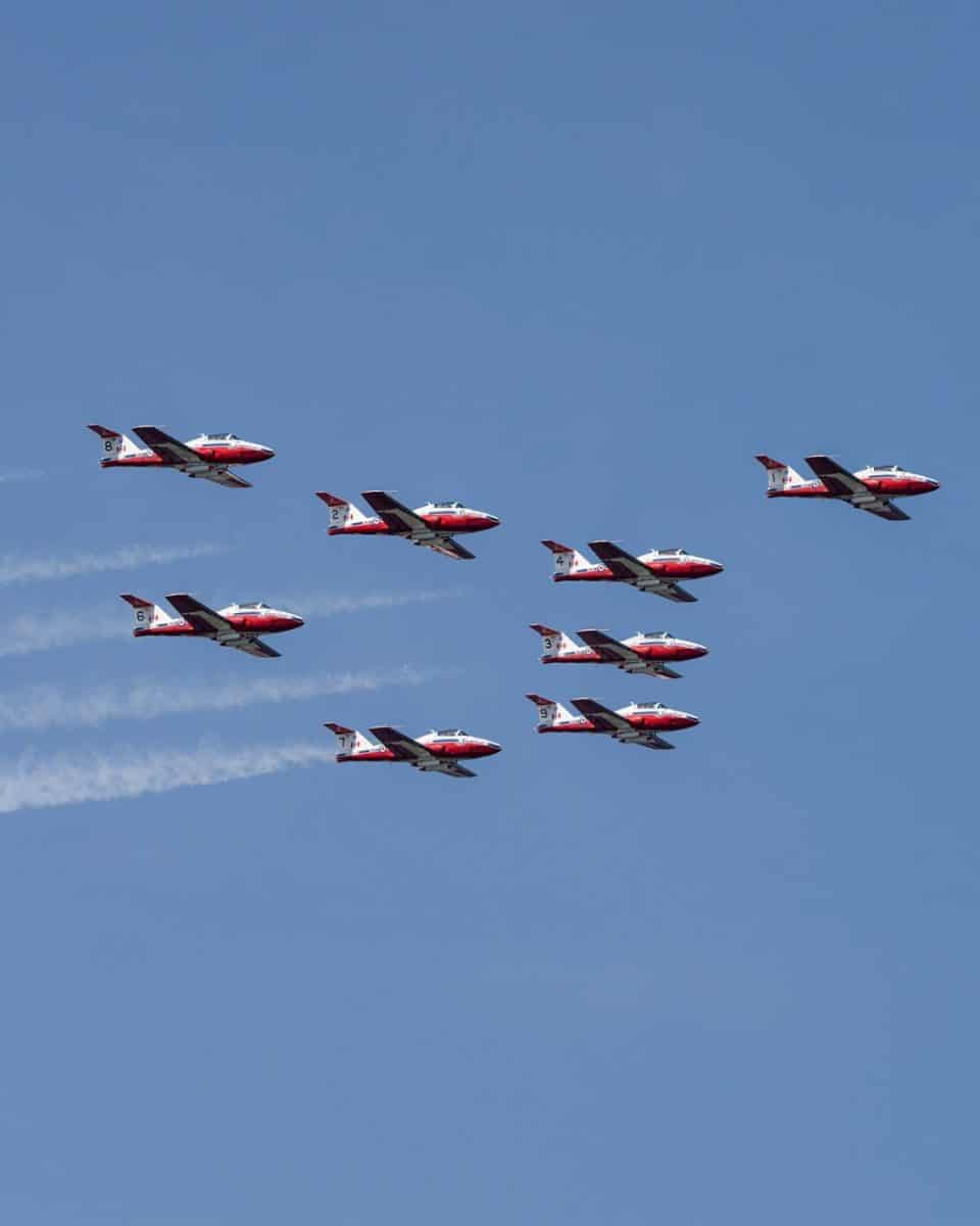 Канадская АГВП Snowbirds / © air.show