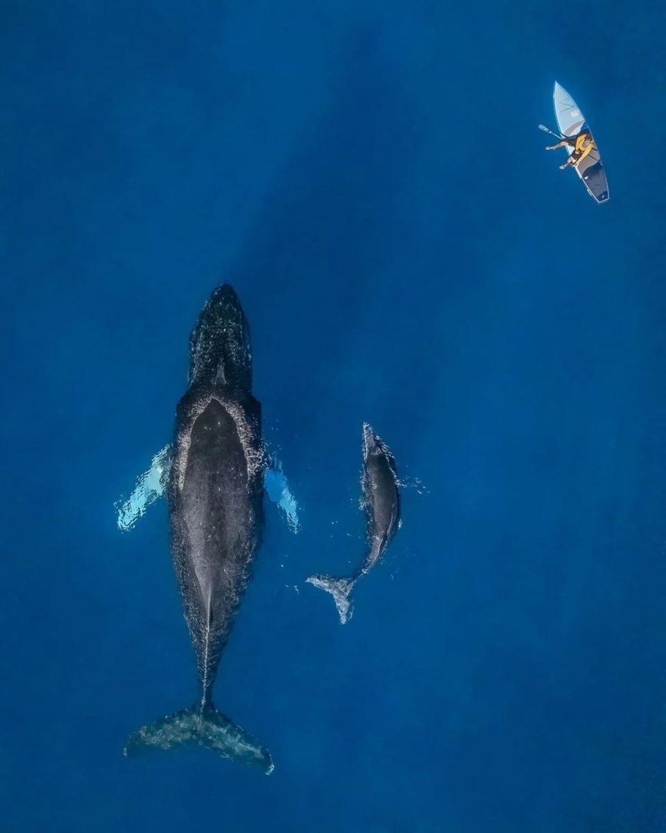 «Существующие вместе» / © Bill Ehman