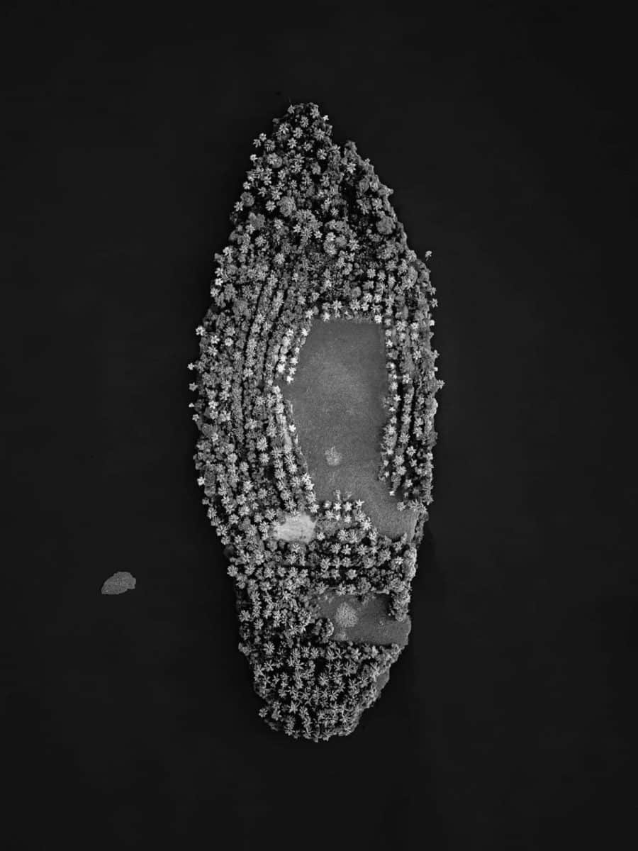 Победитель в номинации «Пейзаж — черно-белая фотография» / © Abijith Soman