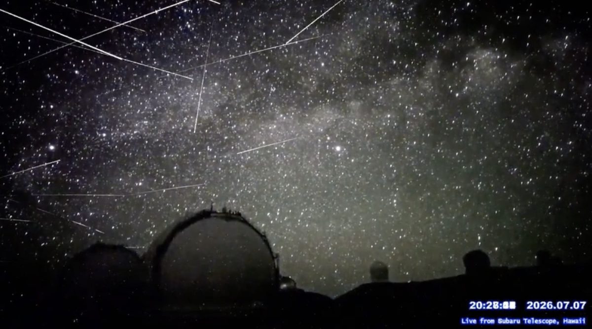 Спутниковые следы на кадре с камеры у телескопа Subaru на Гавайях / © Subaru Telescope, скриншот из видео