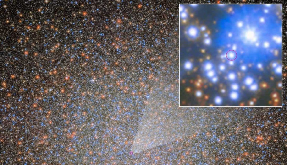 Местоположение черной дыры звездной массы в скоплении Омега Центавра / © ESA/Hubble & NASA, M. Häberle (MPIA), J. DePasquale (STScI)