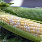 Археологи узнали главный продукт в рационе майя