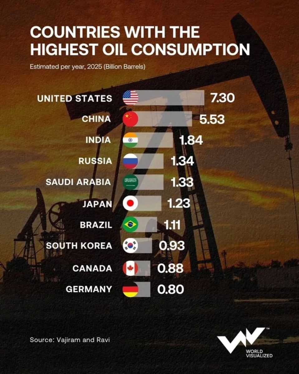 Инфографика: крупнейшие потребители нефти в мире / © World Visualized