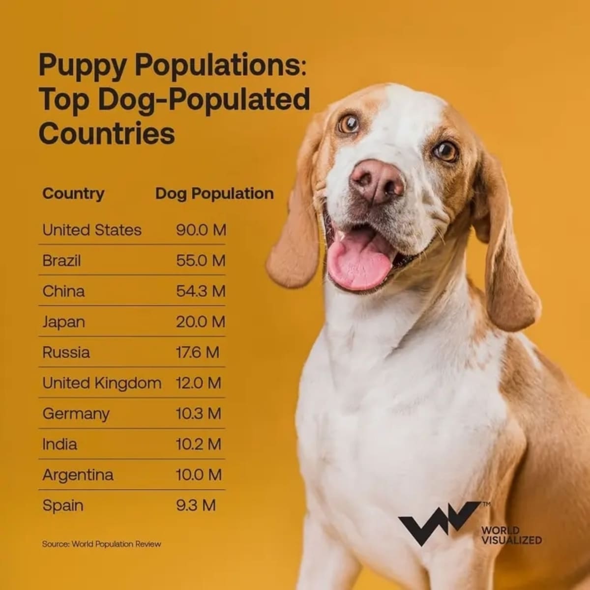 Страны с самым большим количеством собак в мире / © World Visualized
