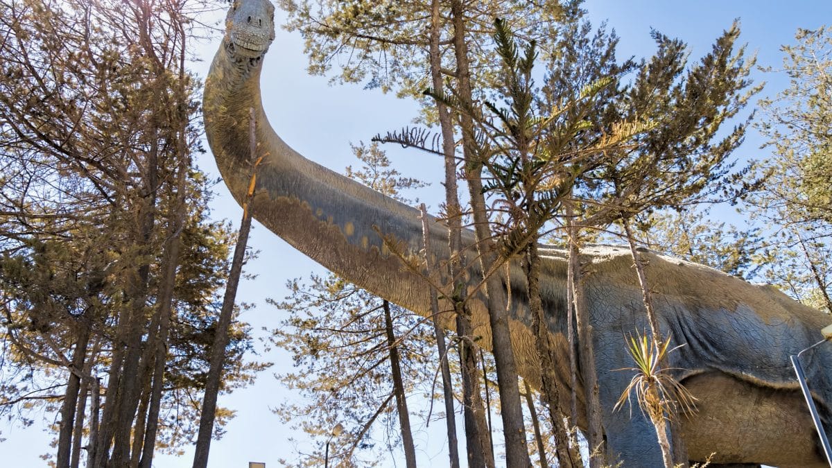 Окаменелость из Антарктиды переписала историю титанозавров