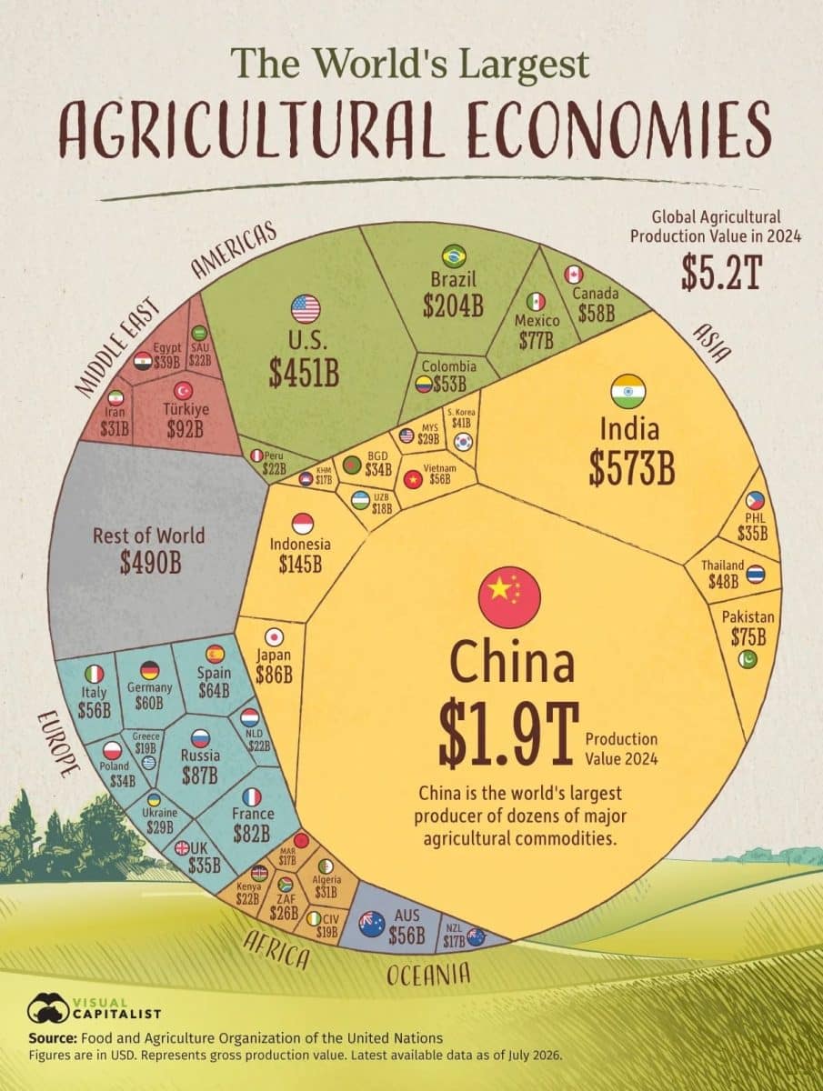 Рейтинг крупнейших сельскохозяйственных экономик мира / © Visual Capitalist