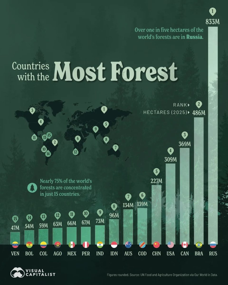 15 стран с крупнейшими лесными массивами / © Visual Capitalist