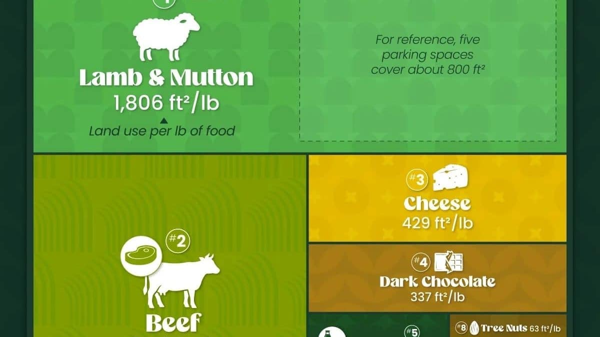 Какие продукты требуют больше всего земли: рейтинг