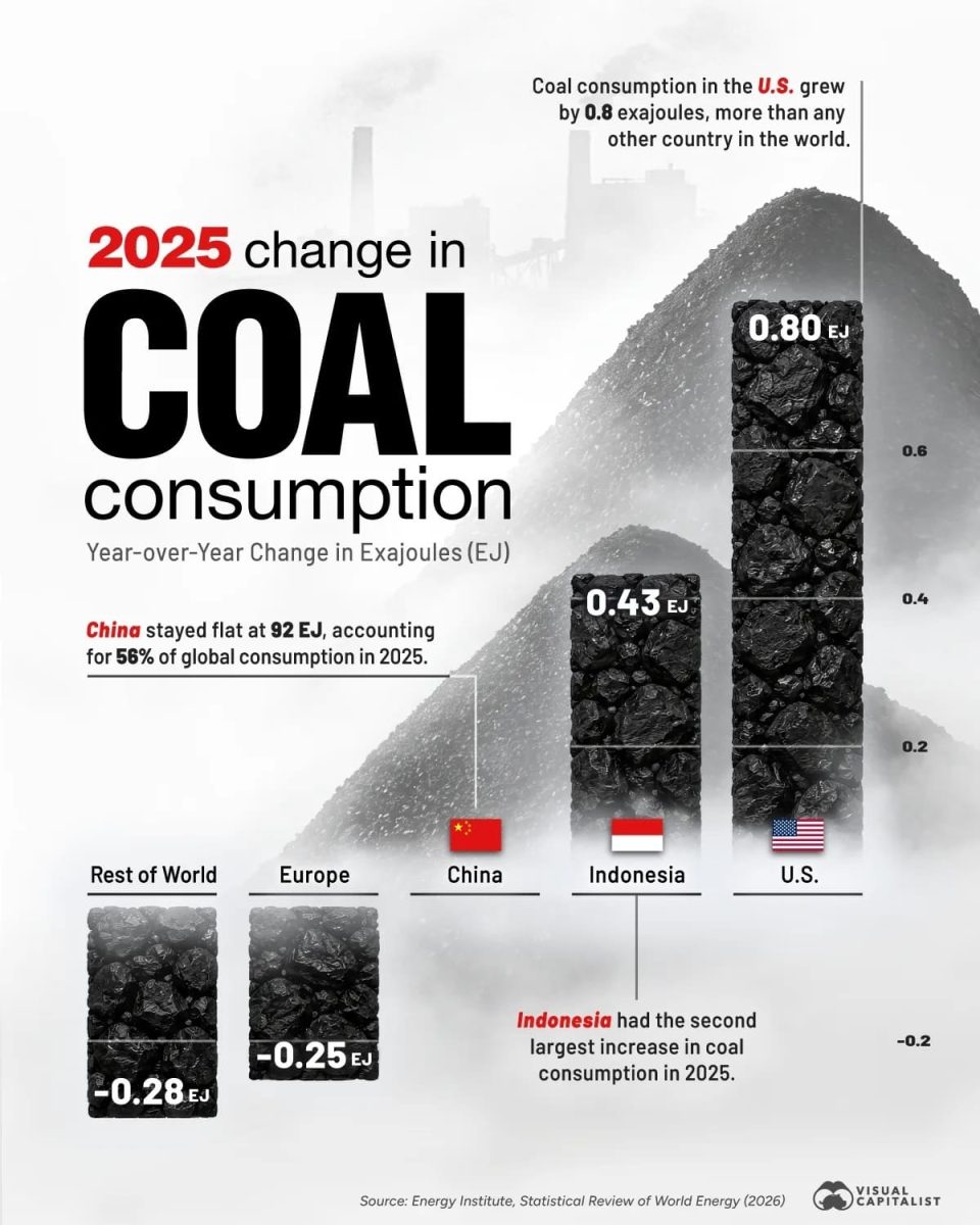 Рейтинг стран с самым быстрым ростом угольного аппетита в 2025 году / © Visual Capitalist