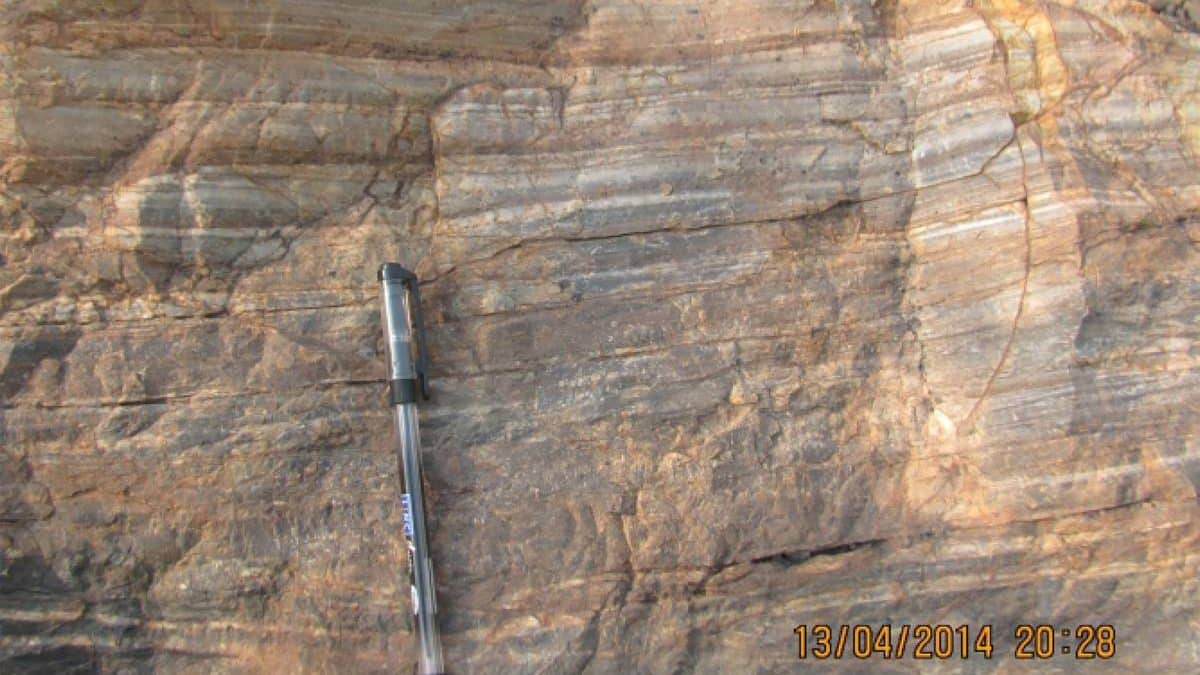 Layered sedimentary rock with thin dark laminations interpreted as ancient microbial mat structures.
