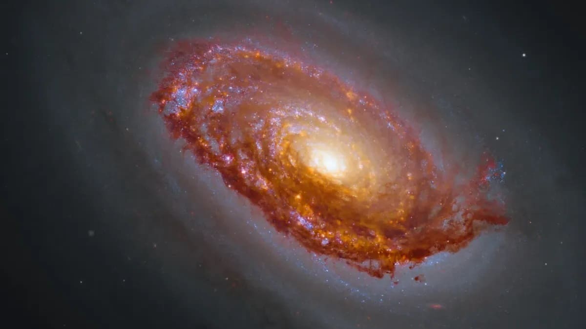 Новое изображение галактики «Черный Глаз» / © NASA, CSA, ESA, F. Belfiore (European Southern Observatory – Germany), J. Lee (Space Telescope Science Institute), A. Leroy (The Ohio State University), and D. Thilker (The Johns Hopkins University); Processing: Gladys Kober (NASA / Catholic University of America))