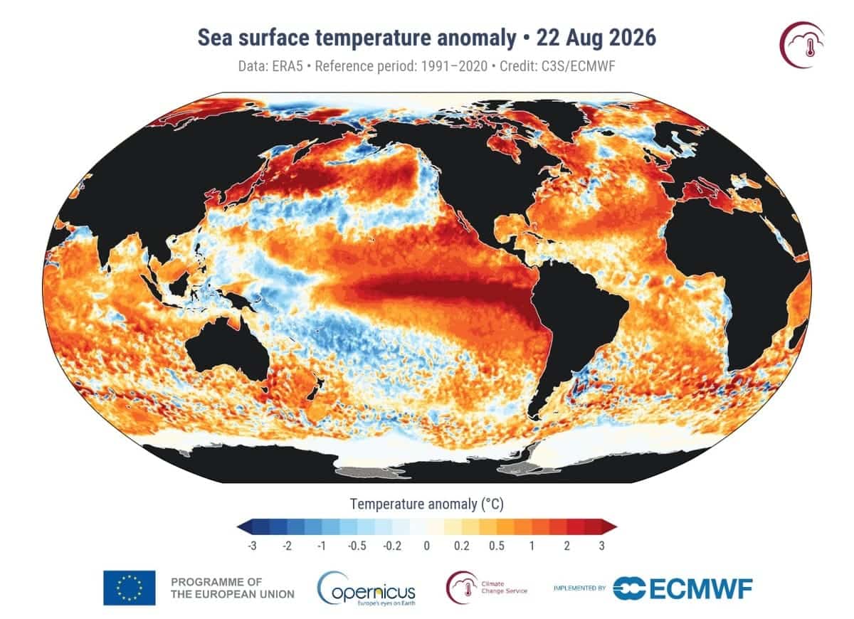 Аномалии температуры поверхности воды на 22 августа 2026 года / © Copernicus