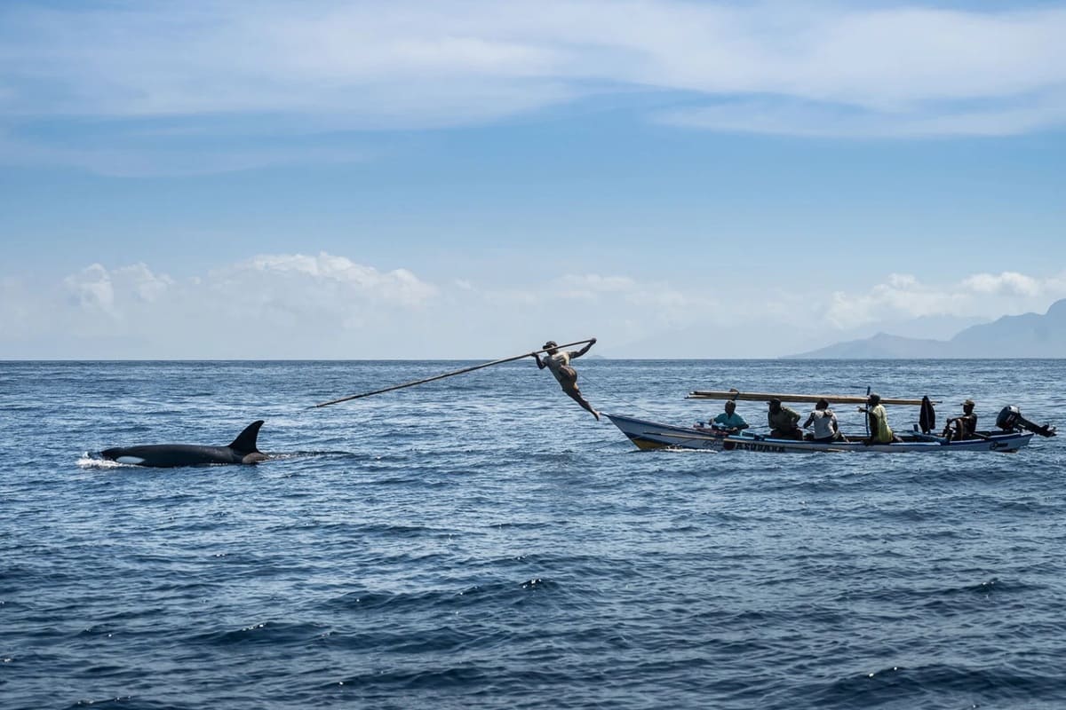 Финалист в номинации «Связь человека и природы: люди и планета» / © Sirachai Arunrugstichai / Ocean Photographer of the Year