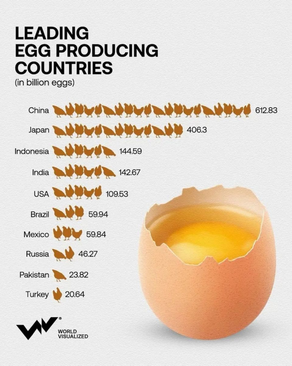 Топ-10 крупнейших производителей яиц в мире / © World Visualized