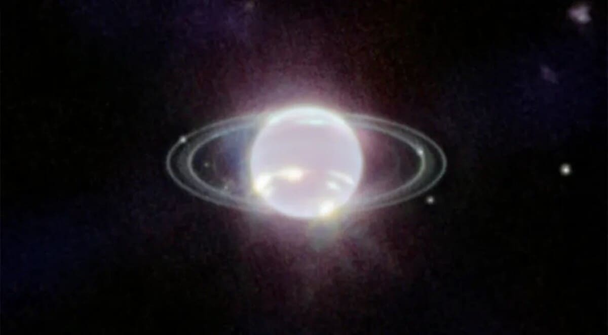 Нептун / © NASA