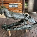 Воссоздан скелет гигантского древнего крокодила, который охотился на динозавров