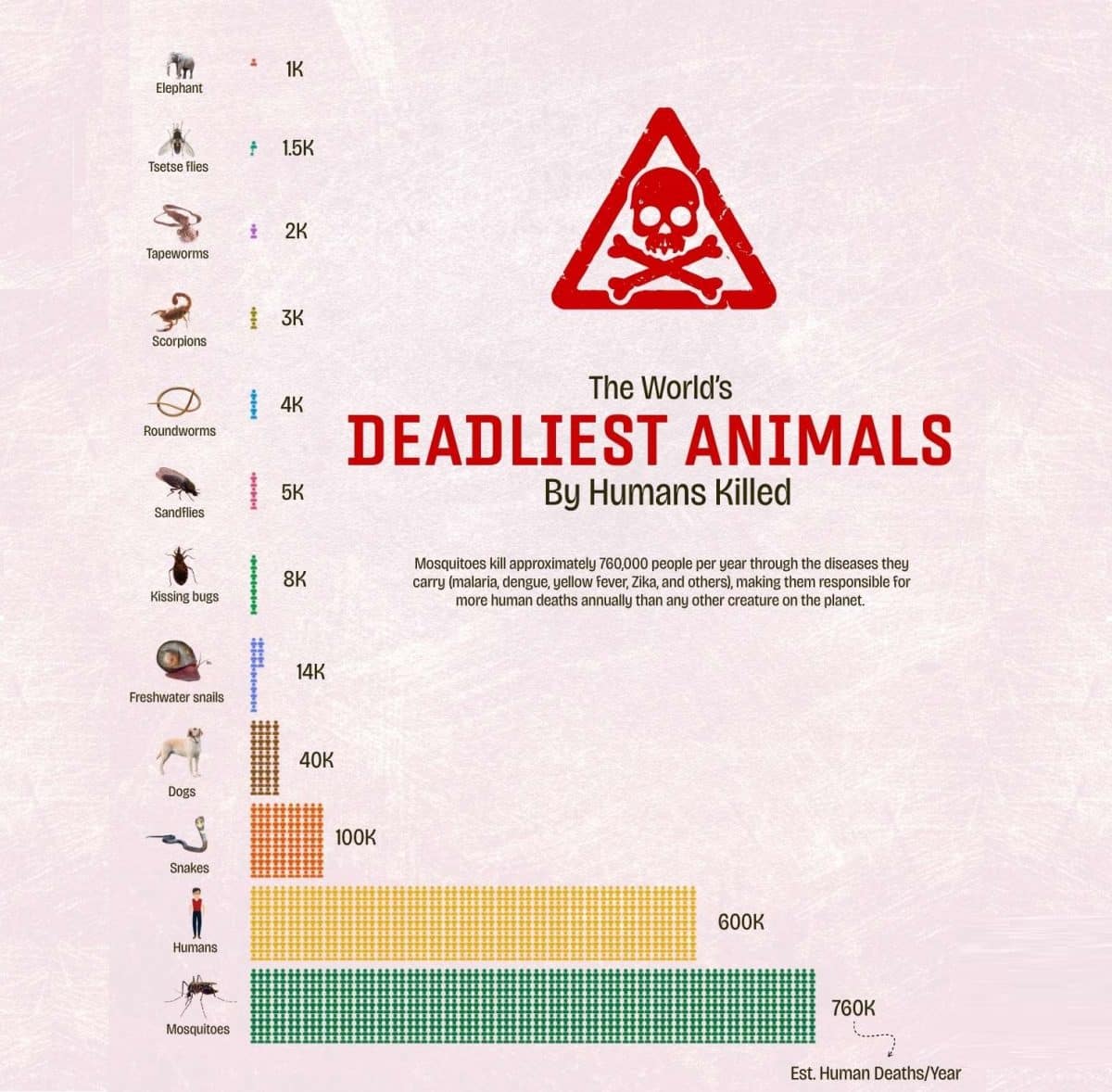 Какие животные убивают больше всего людей / © Kalu Agwu, Data Explained