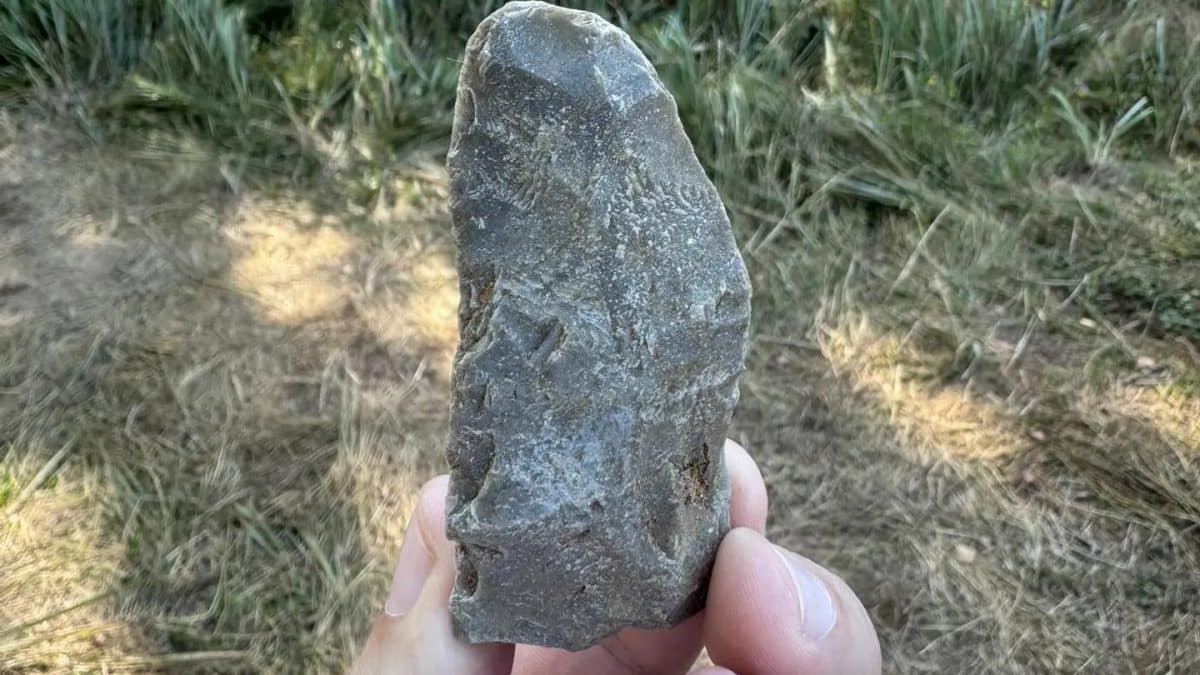 Новгородские археологи откопали «инженерный центр» каменного века