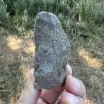 Российские археологи нашли «инженерный центр» каменного века на Новгородчине