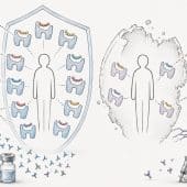 Изображение иллюстрирует концепцию разнообразия связывания пептидов HLA-II
