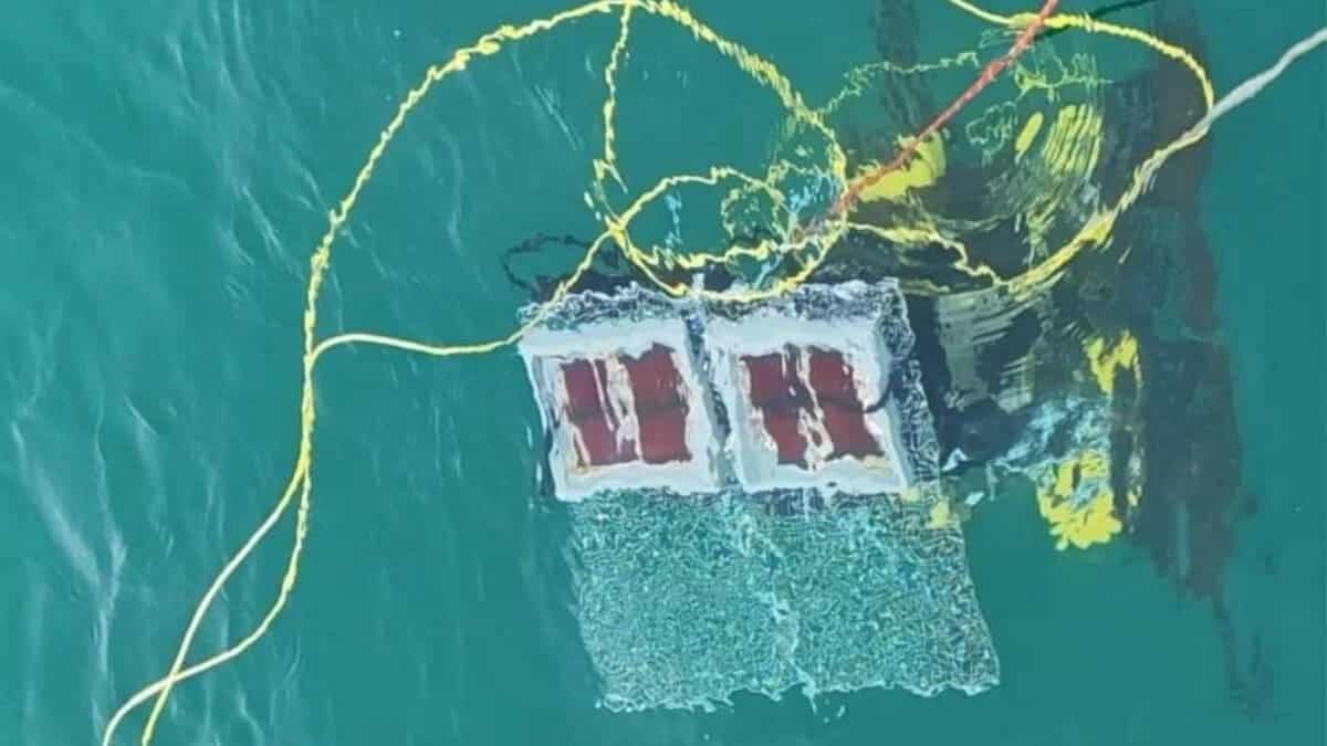 Китай испытал первую подводную солнечную электростанцию в открытом море / © Ma et al., Joule, 2026