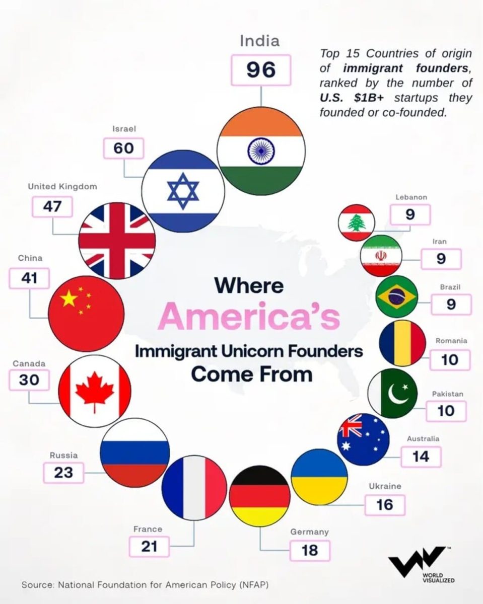 Рейтинг: страны-лидеры по числу основателей американских стартапов / © World Visualized