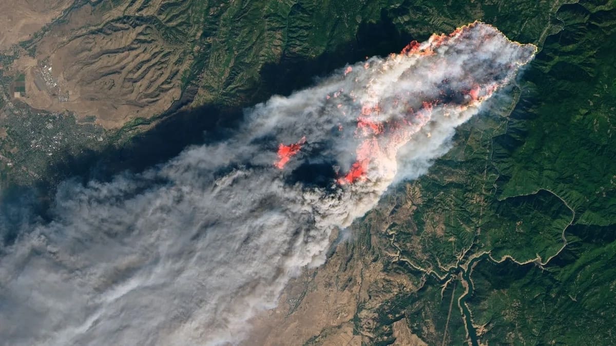 Спутниковый снимок дыма от лесных пожаров в США / © NASA