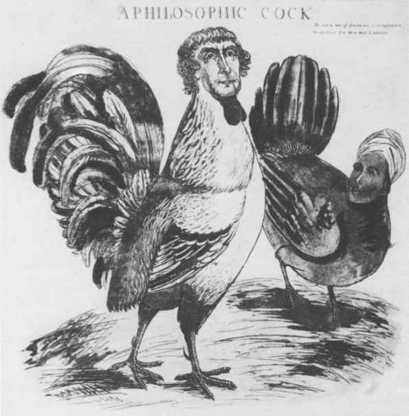 Карикатура «Философский петух» от 1804 года изображает Томаса Джефферсона, на тот момент президента США, в виде петуха, обыгрывая названием его склонность к философии. Рядом изображена Салли Хемингс в образе курицы. Карикатура недостоверна: по воспоминаниям современников квартеронка Хемингс была светлокожей и нет никаких данных о том, что она носила типичный для чернокожих женщин-рабынь импровизированный головной убор, как на этой картинке. Напротив, современники отмечают ее длинные прямые волосы, падающие на спину