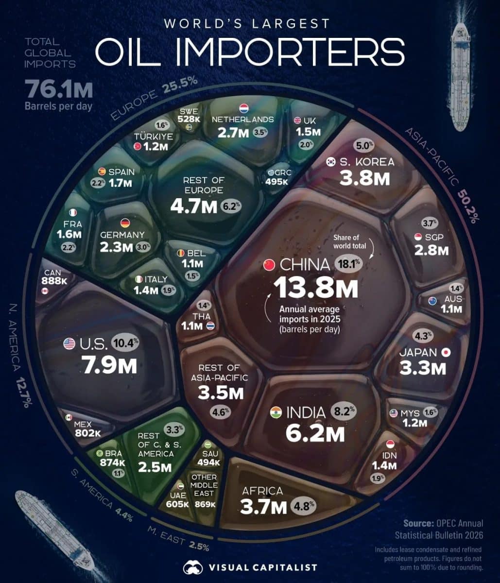 Инфографика: крупнейшие импортеры нефти в мире / © Visual Capitalist