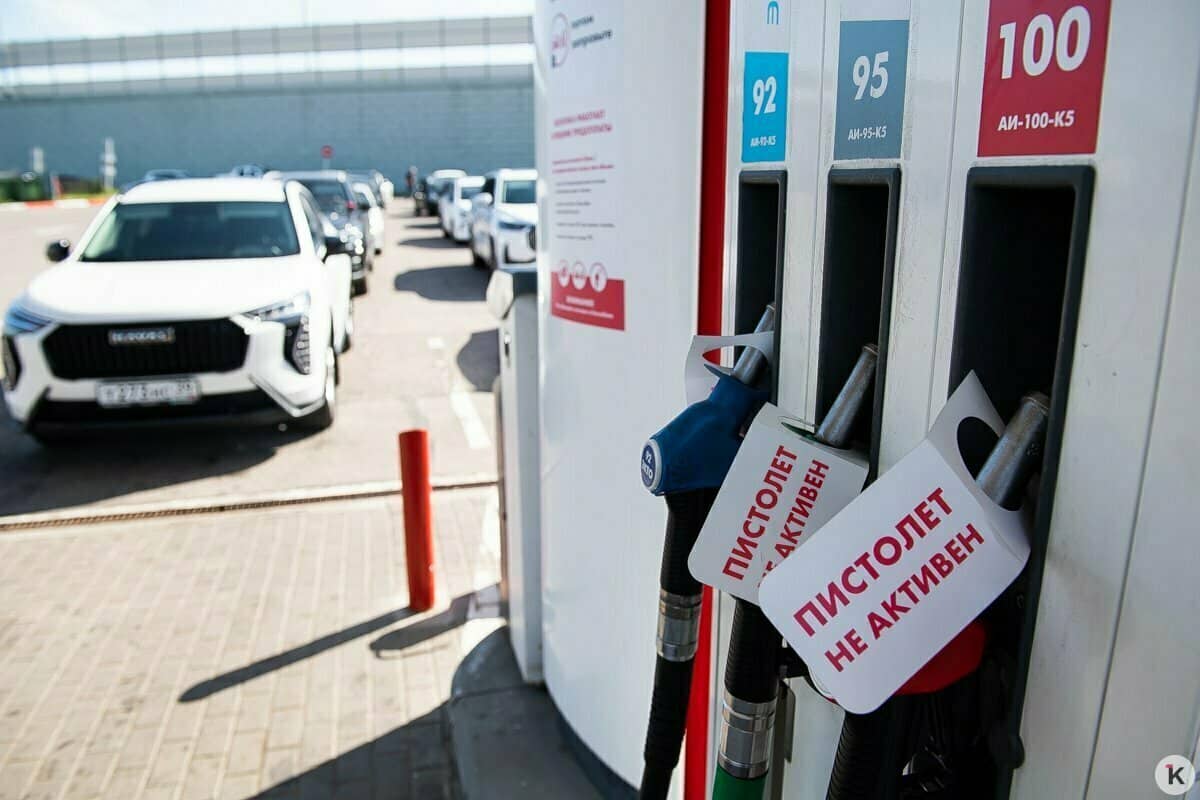 © Александр Подгорчук, klops.ru
