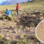 Спутники нашли в Андах гигантские каменные круги неизвестного происхождения
