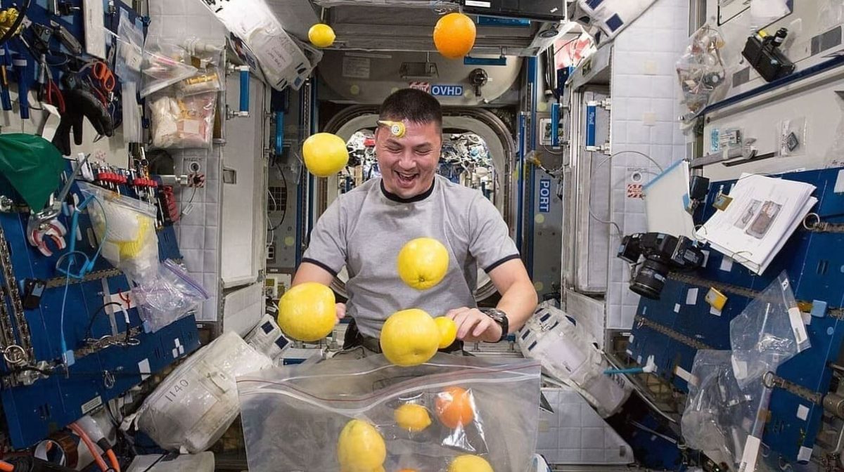 Астронавт NASA Челл Линдгрен / © NASA, flickr.com