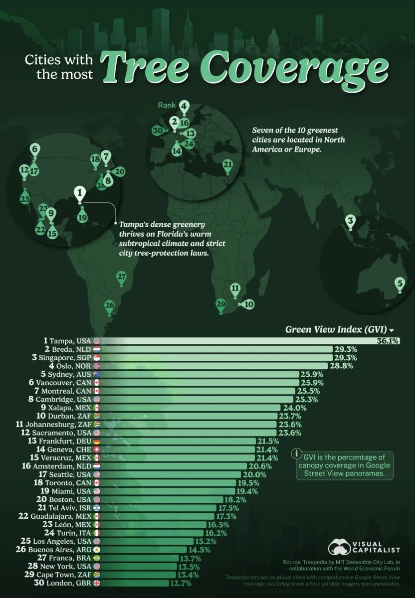 Рейтинг городов по древесному покрову на уровне глаз / © Visual Capitalist
