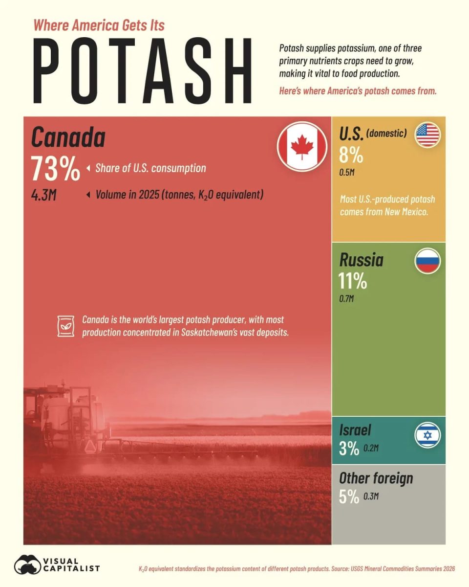 Инфографика: какие страны кормят США калийными удобрениями / © Visual Capitalist