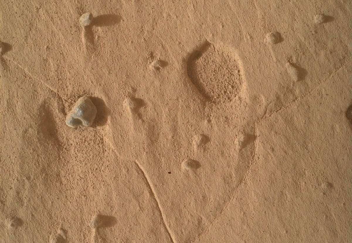 Изображение поверхности Марса, полученное 19 августа / © NASA / JPL-Caltech / MSSS