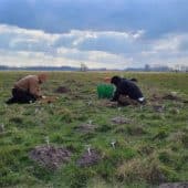 Археологи, изучающие кротовины на поле в окрестностях Дамме