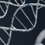 Ученые впервые увидели, как две молекулы ДНК «застегиваются» друг с другом